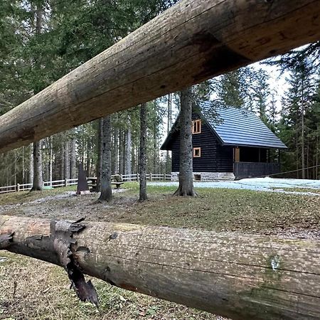 Cosy Lodge Pokljuka Goreljek ภายนอก รูปภาพ