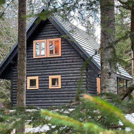 Cosy Lodge Pokljuka Goreljek ภายนอก รูปภาพ