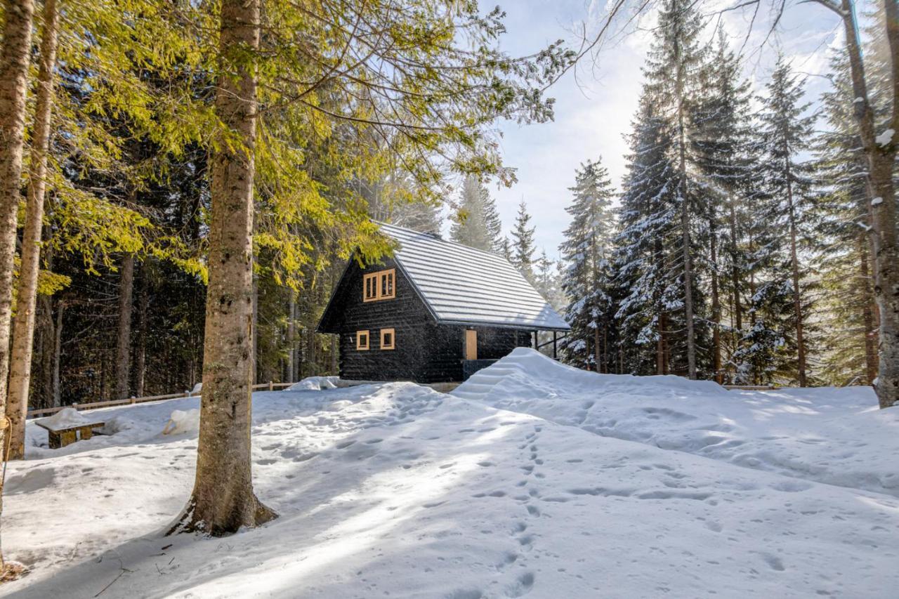 Cosy Lodge Pokljuka Goreljek ภายนอก รูปภาพ