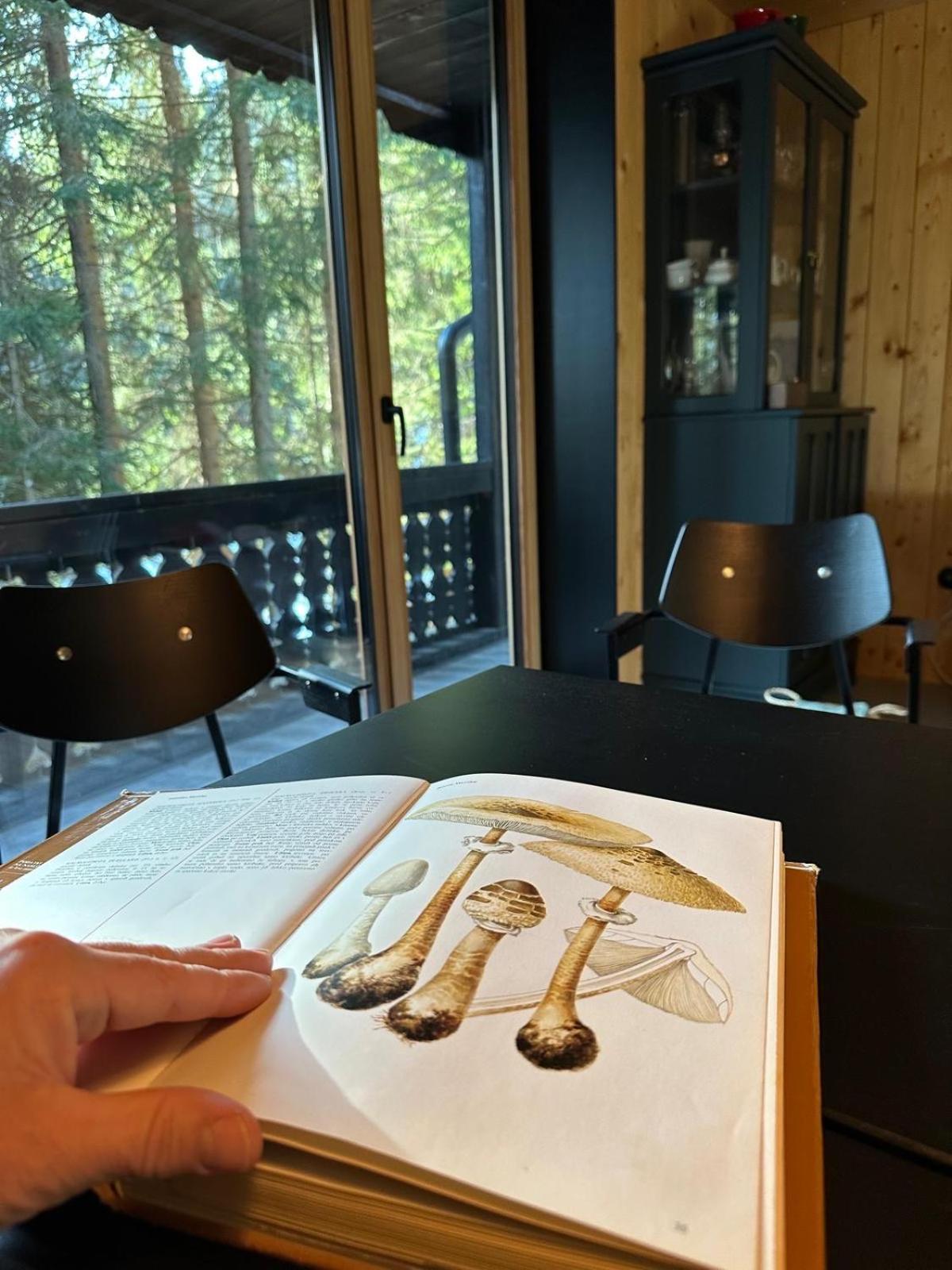 Cosy Lodge Pokljuka Goreljek ภายนอก รูปภาพ