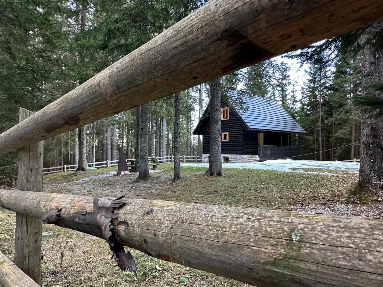 Cosy Lodge Pokljuka Goreljek ภายนอก รูปภาพ