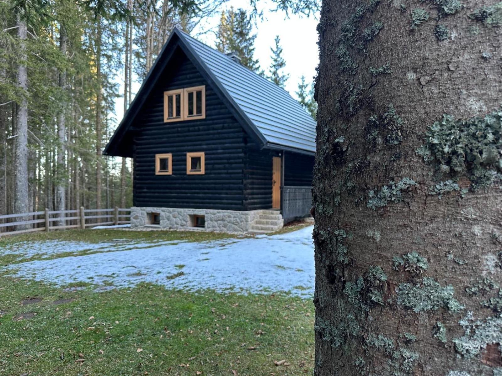 Cosy Lodge Pokljuka Goreljek ภายนอก รูปภาพ
