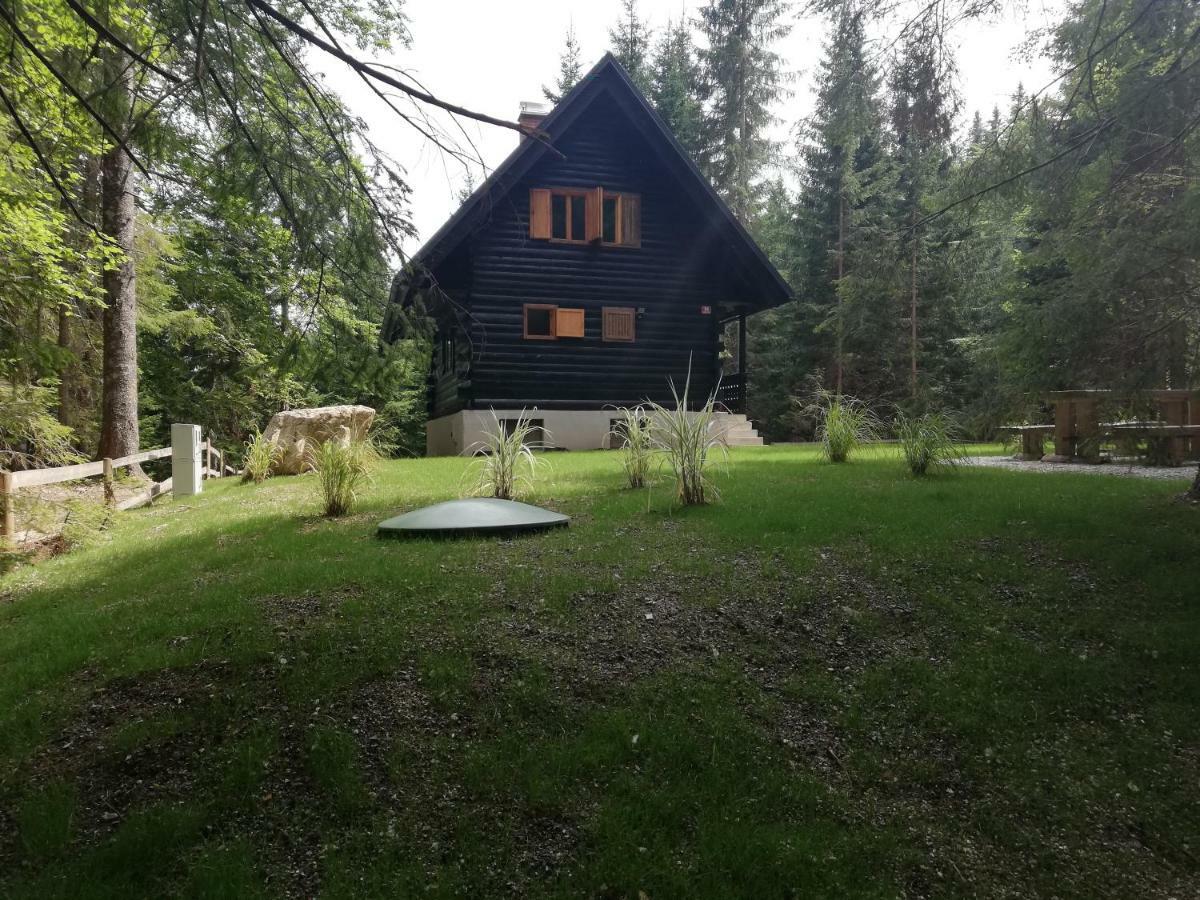 Cosy Lodge Pokljuka Goreljek ภายนอก รูปภาพ